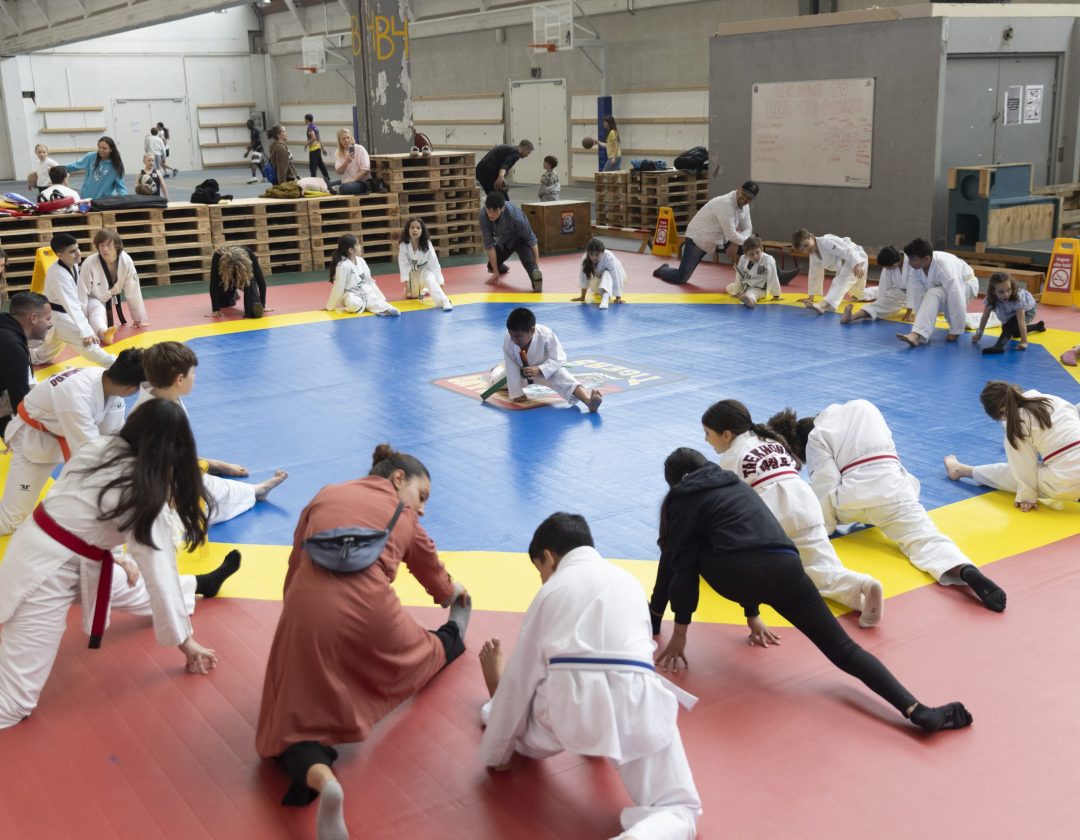 Taekwondo hal 4_Bagadir